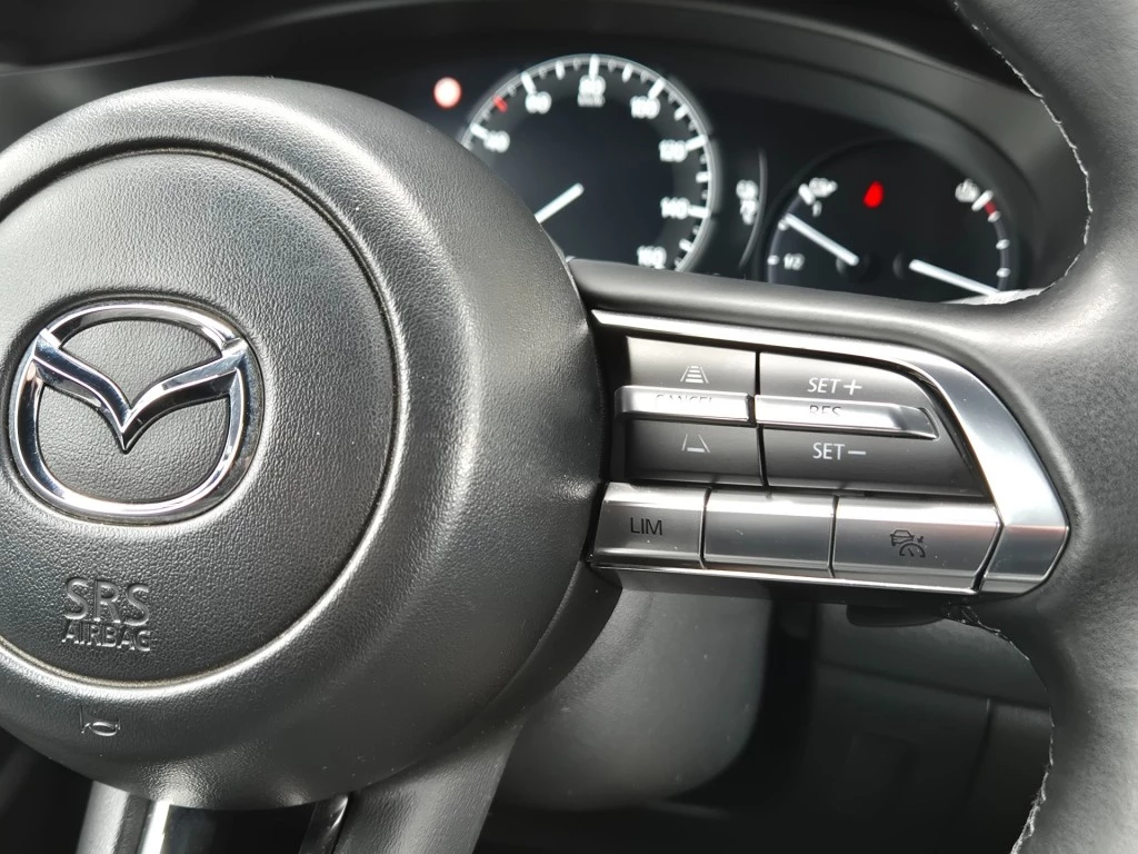 Hoofdafbeelding Mazda MX-30