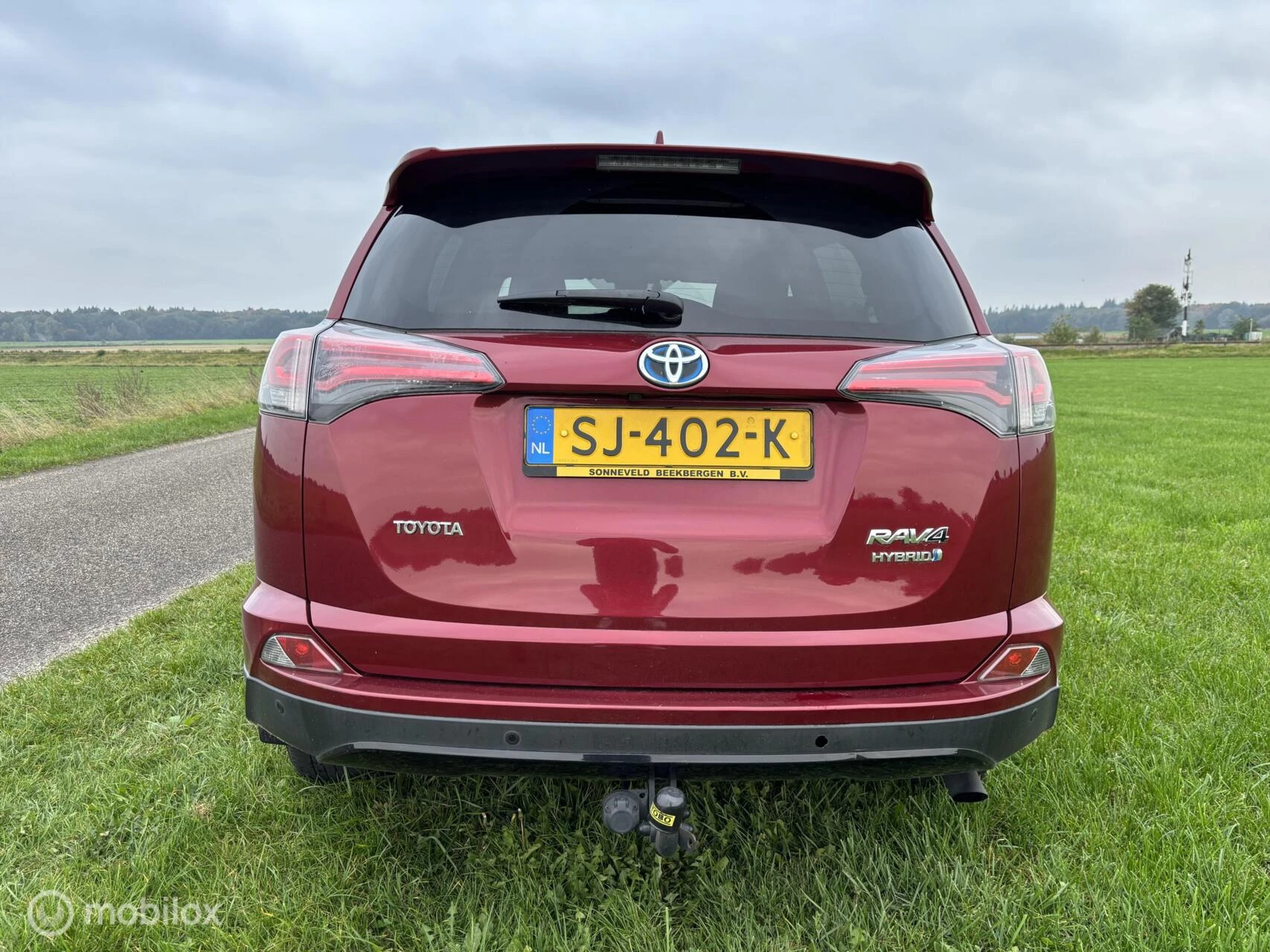 Hoofdafbeelding Toyota RAV4