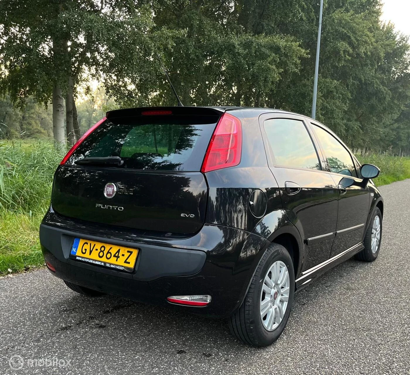 Hoofdafbeelding Fiat Punto