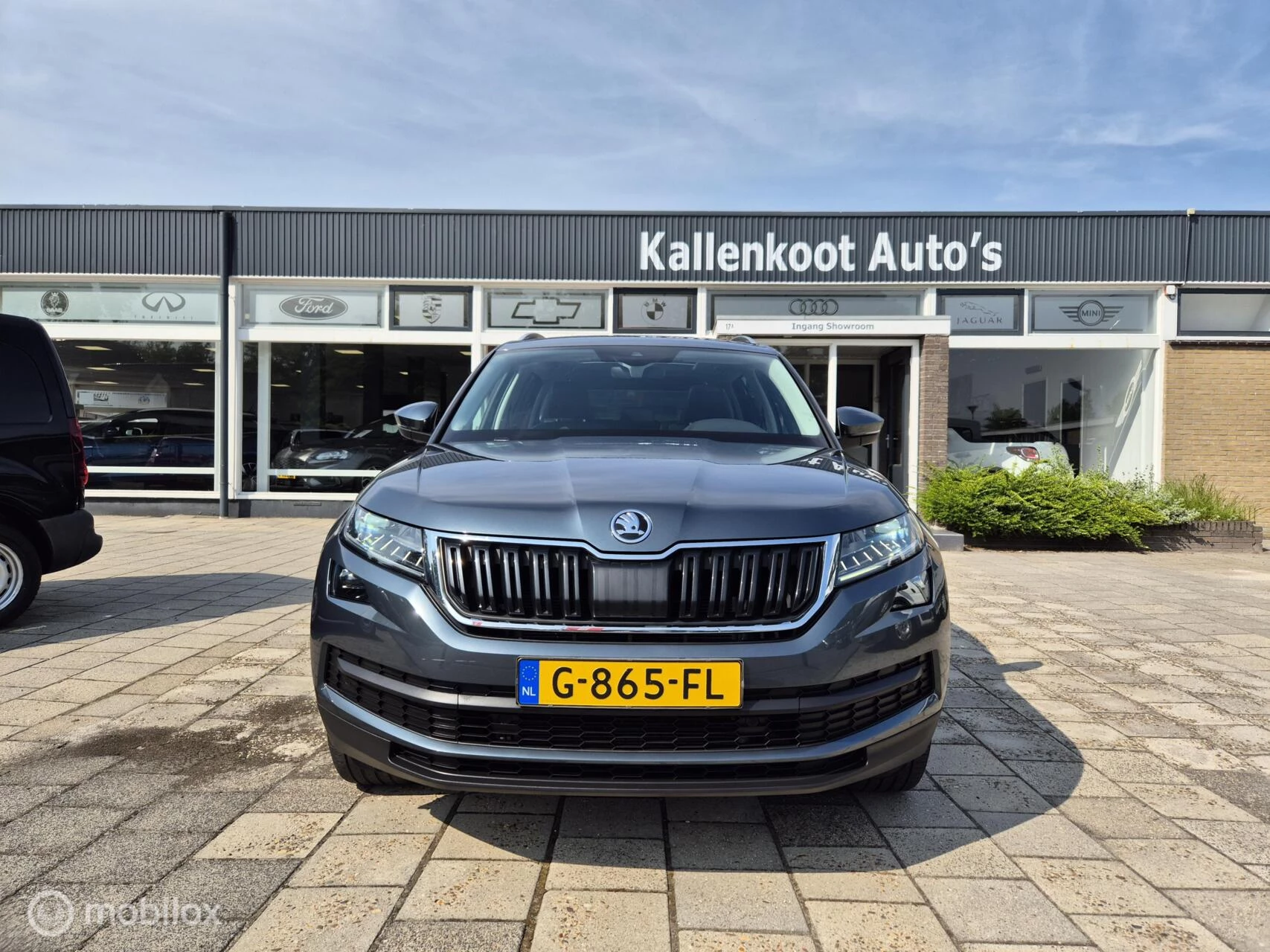 Hoofdafbeelding Škoda Kodiaq