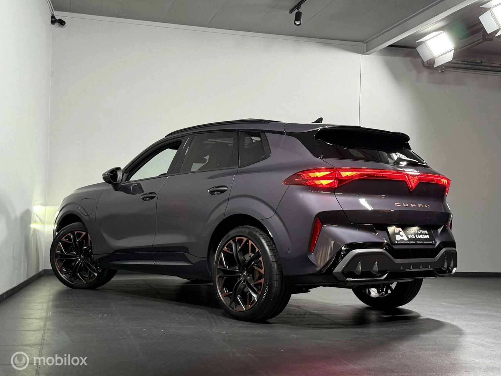 Hoofdafbeelding CUPRA Terramar