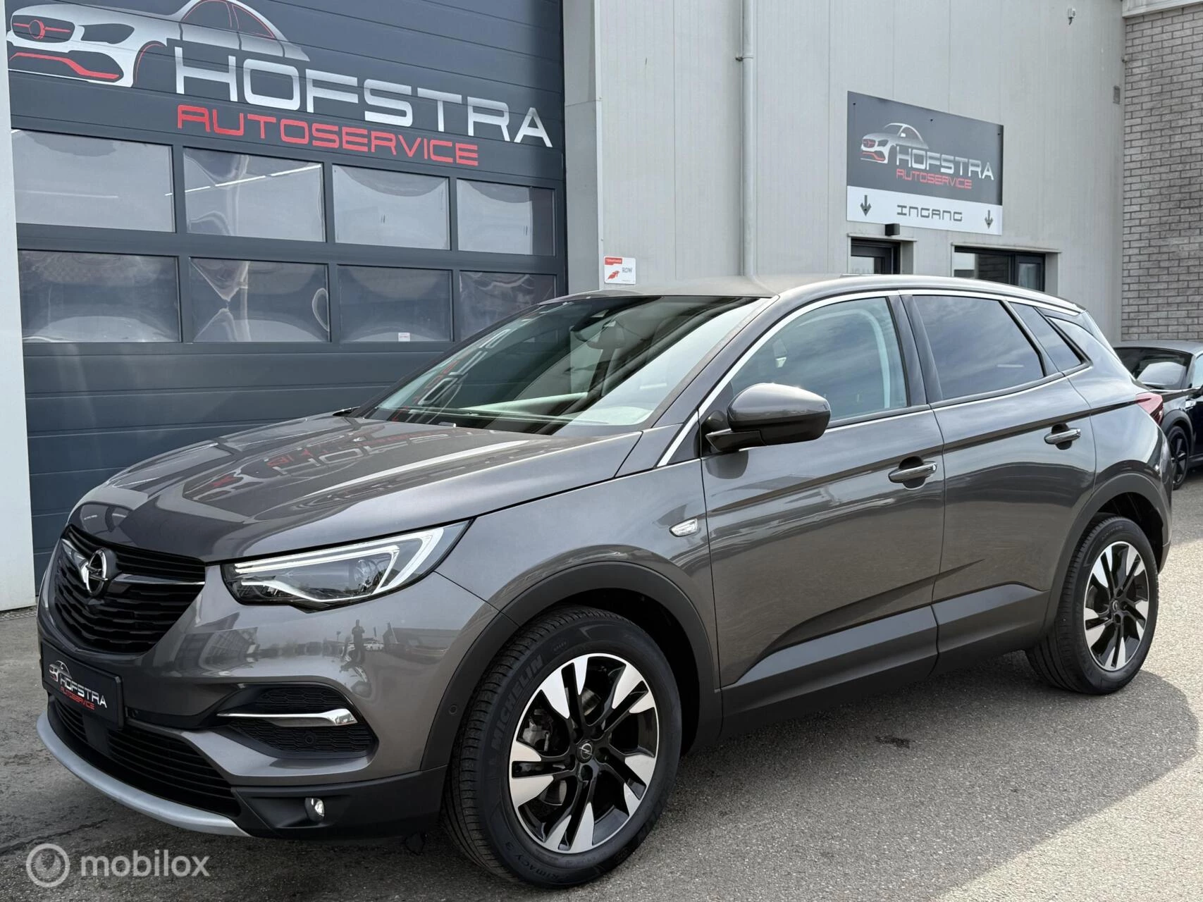 Hoofdafbeelding Opel Grandland X