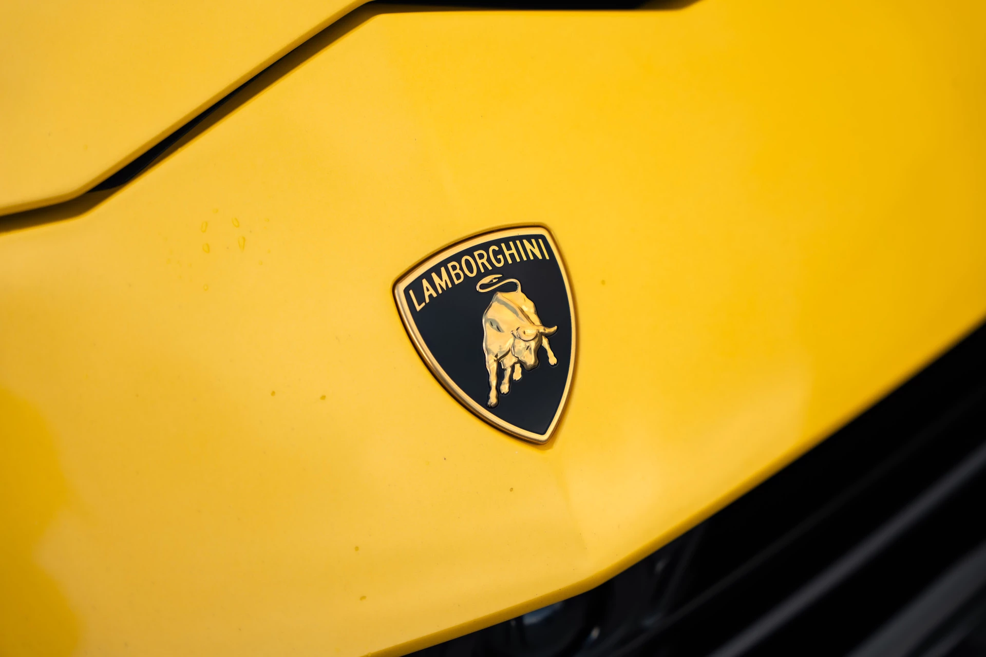 Hoofdafbeelding Lamborghini Urus