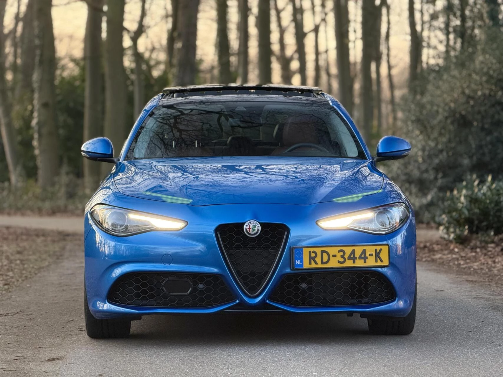 Hoofdafbeelding Alfa Romeo Giulia