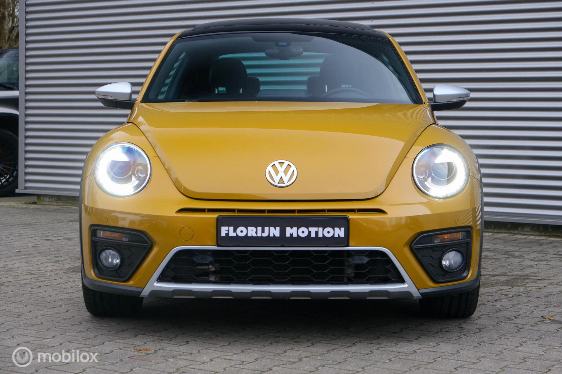 Hoofdafbeelding Volkswagen Beetle