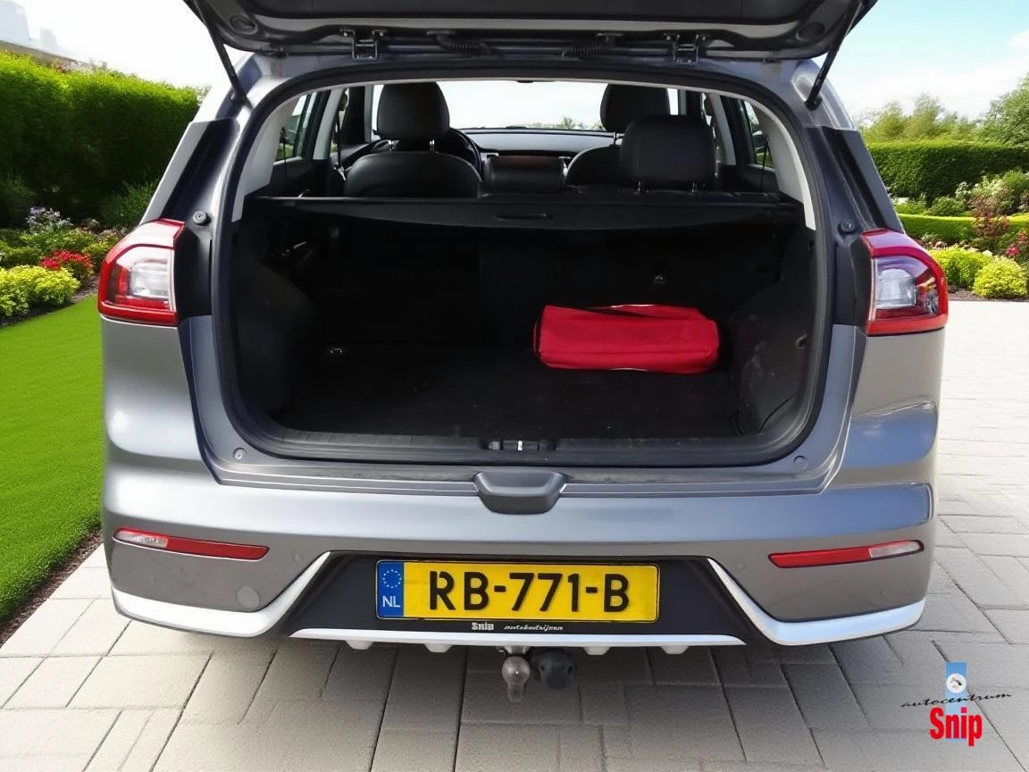 Hoofdafbeelding Kia Niro