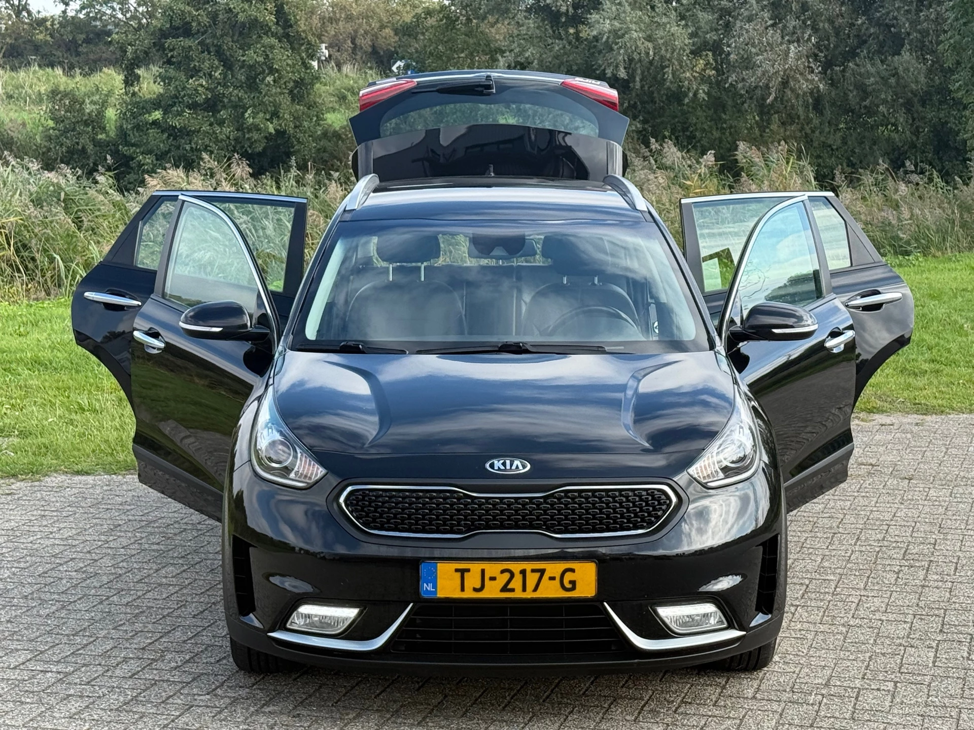 Hoofdafbeelding Kia Niro