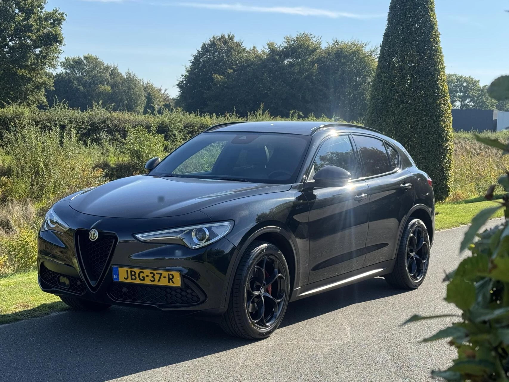 Hoofdafbeelding Alfa Romeo Stelvio
