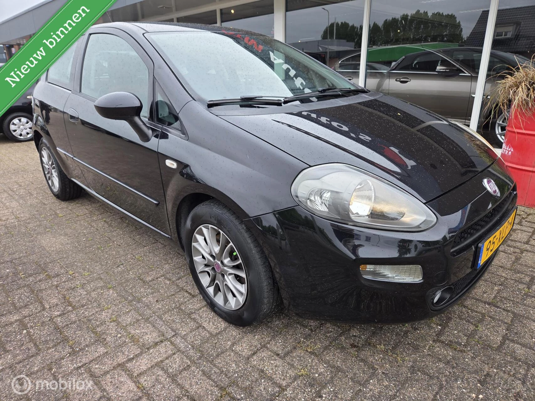 Hoofdafbeelding Fiat Punto