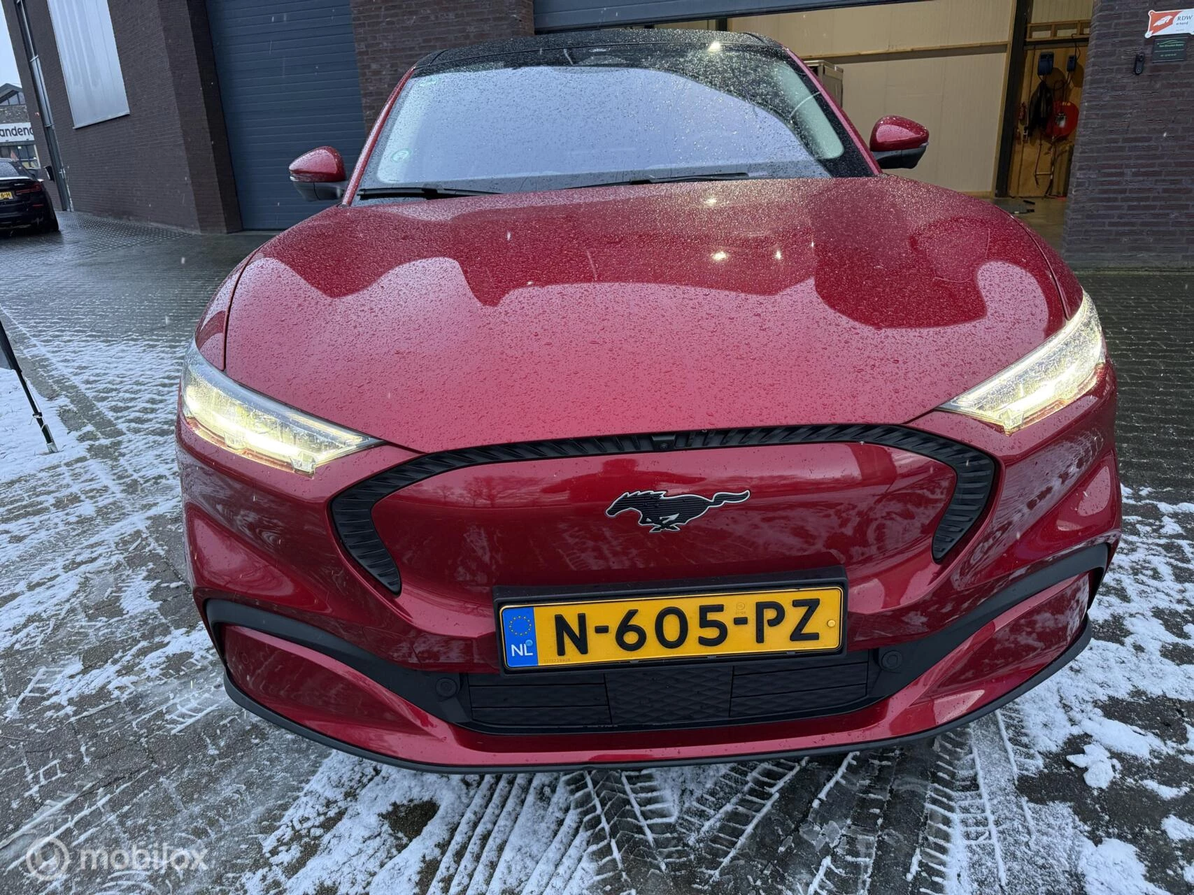 Hoofdafbeelding Ford Mustang Mach-E