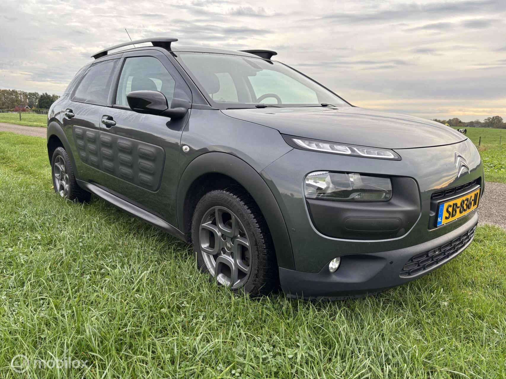 Hoofdafbeelding Citroën C4 Cactus