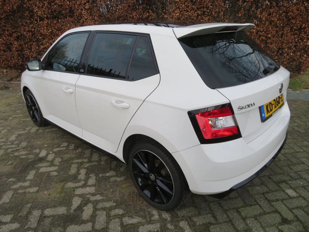 Hoofdafbeelding Škoda Fabia
