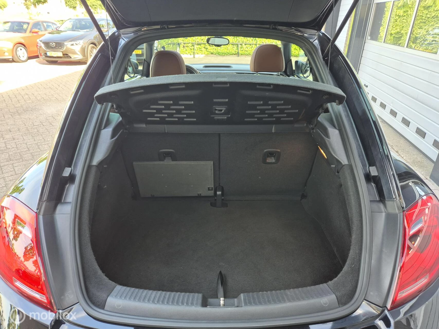 Hoofdafbeelding Volkswagen Beetle