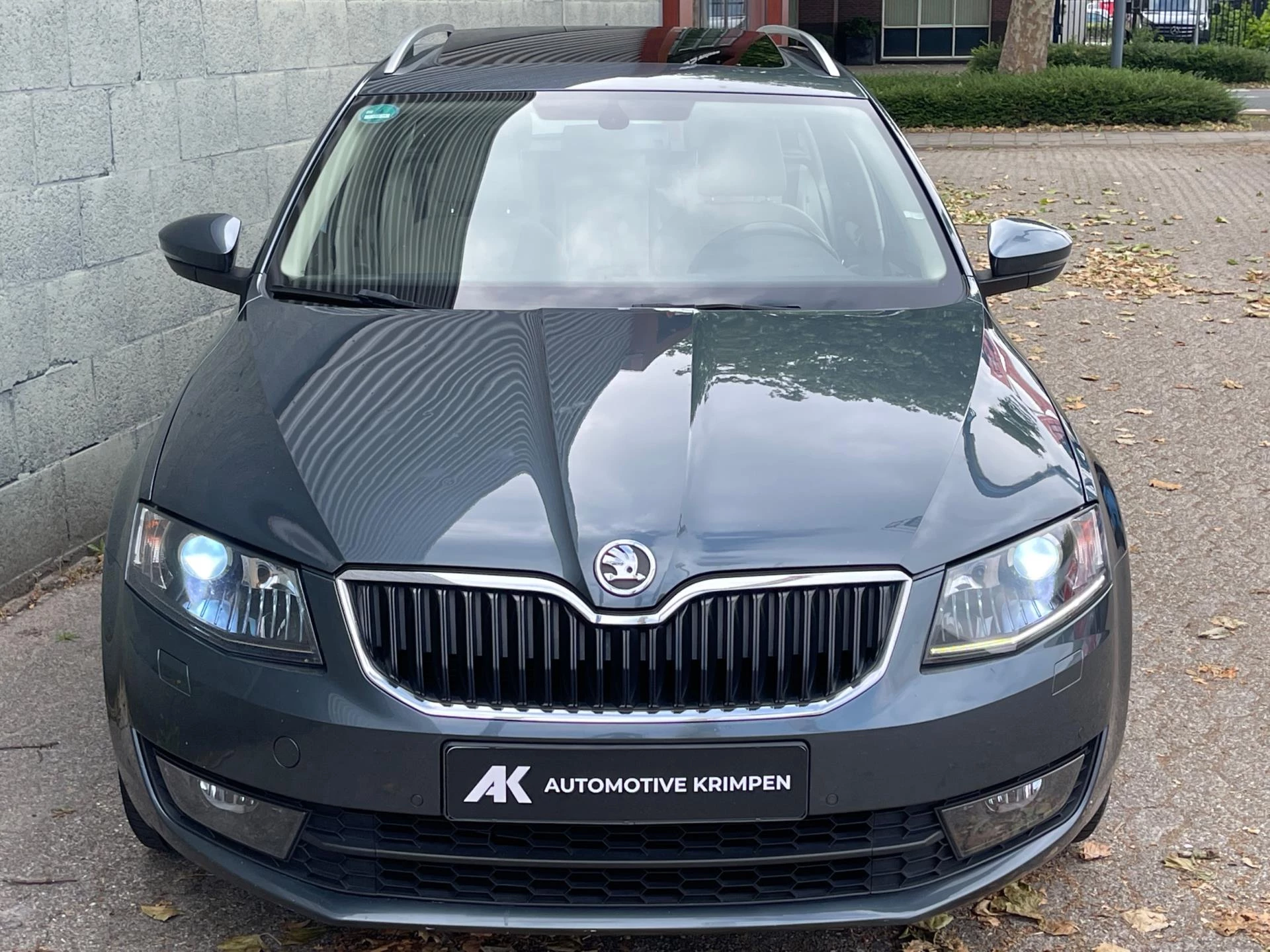 Hoofdafbeelding Škoda Octavia