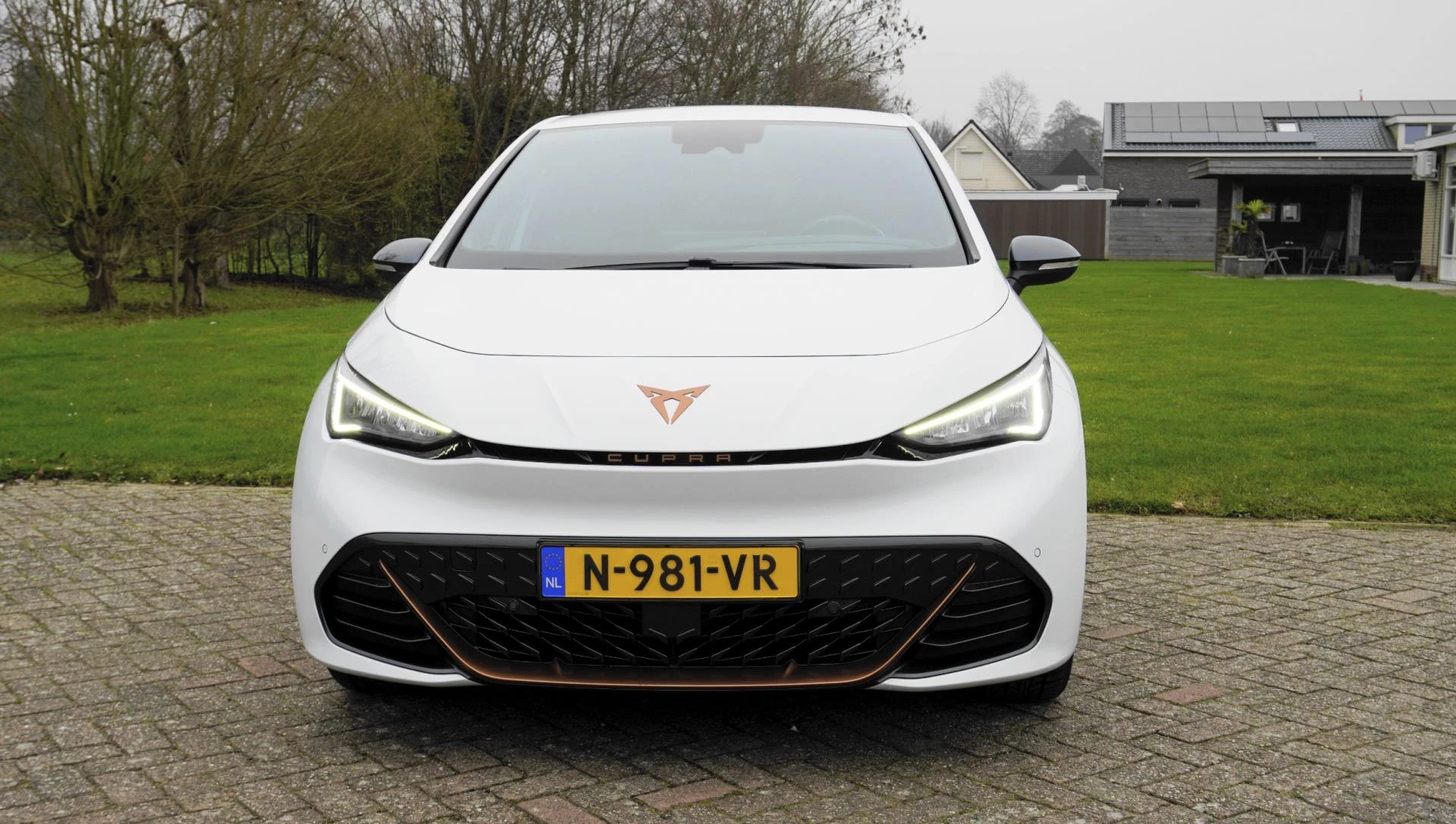 Hoofdafbeelding CUPRA Born