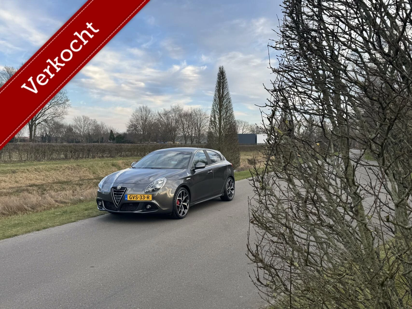 Hoofdafbeelding Alfa Romeo Giulietta