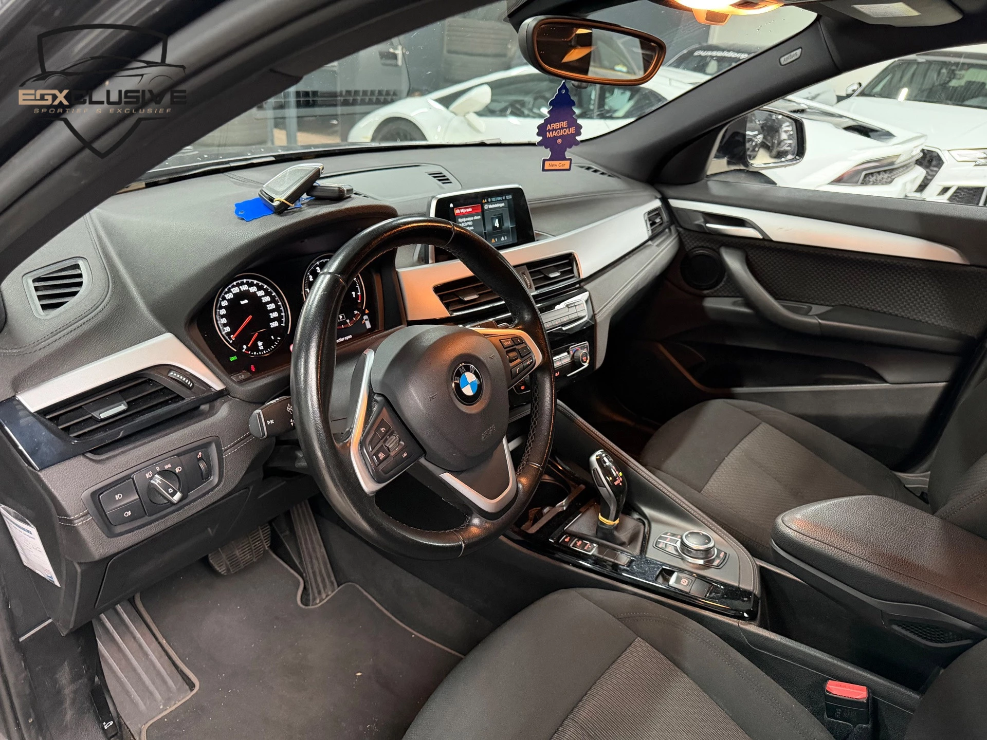 Hoofdafbeelding BMW X2