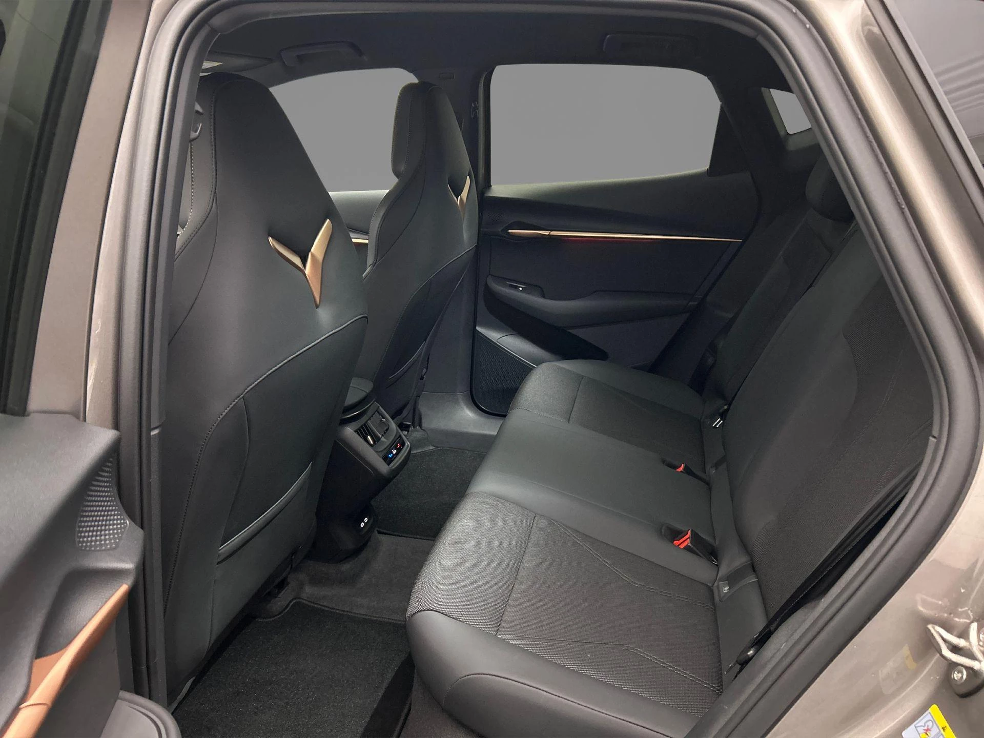 Hoofdafbeelding CUPRA Tavascan