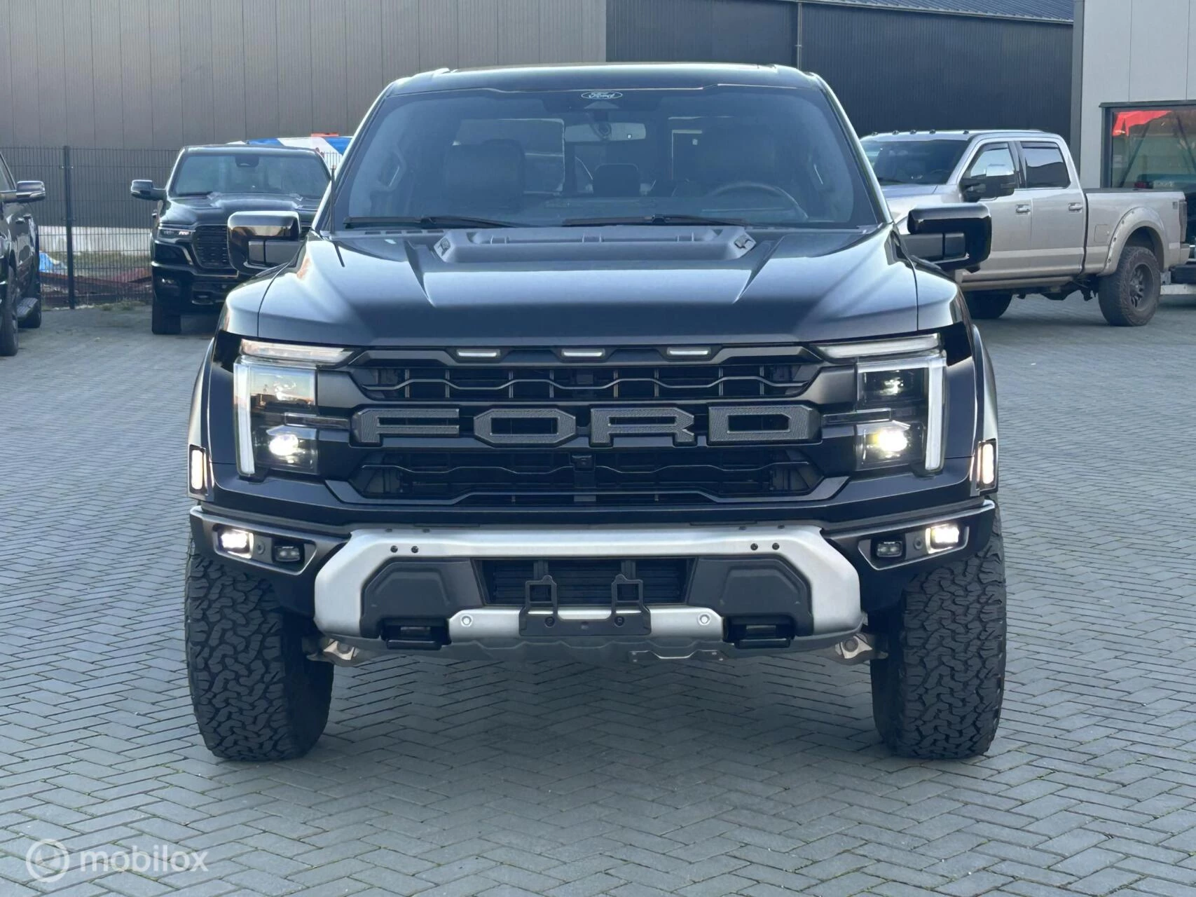 Hoofdafbeelding Ford Raptor