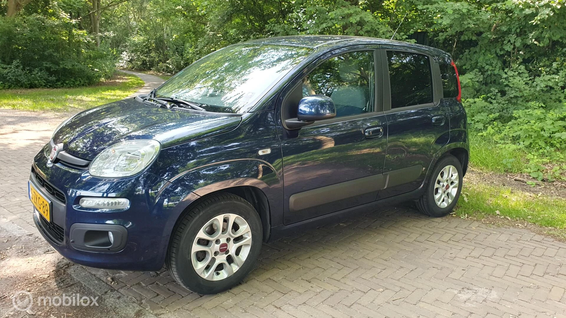 Hoofdafbeelding Fiat Panda