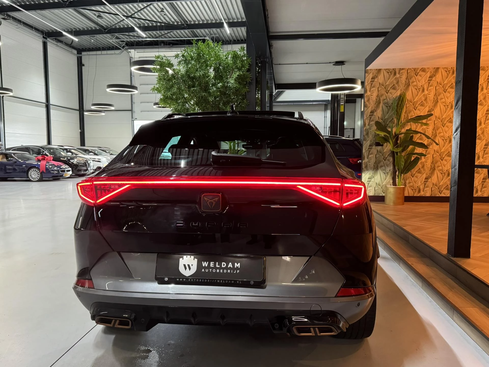 Hoofdafbeelding CUPRA Formentor