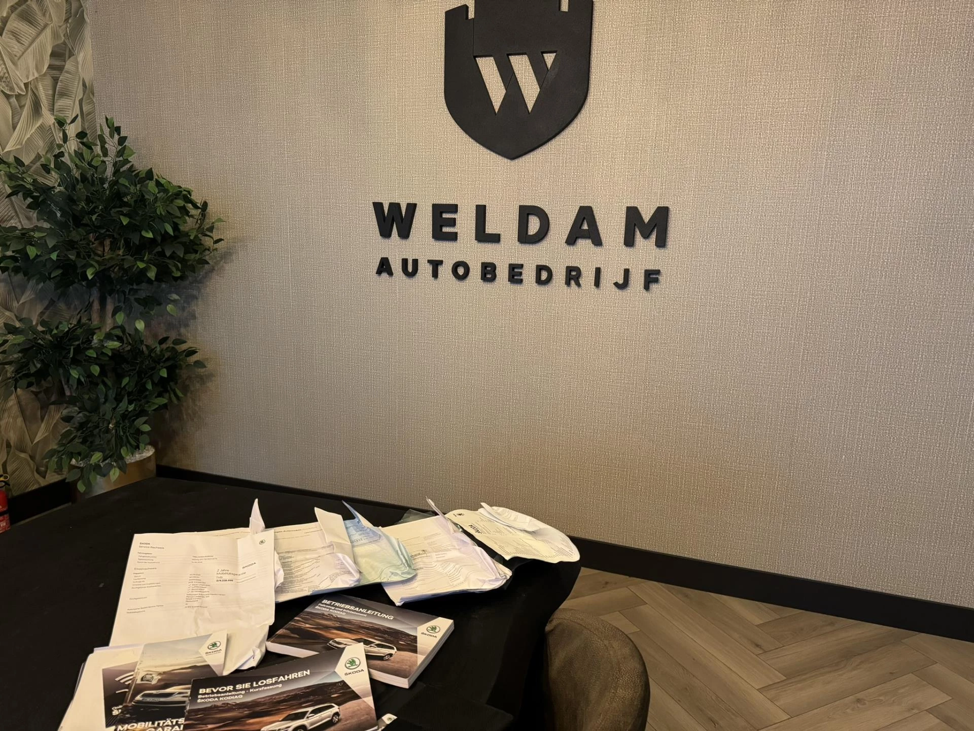 Hoofdafbeelding Škoda Kodiaq