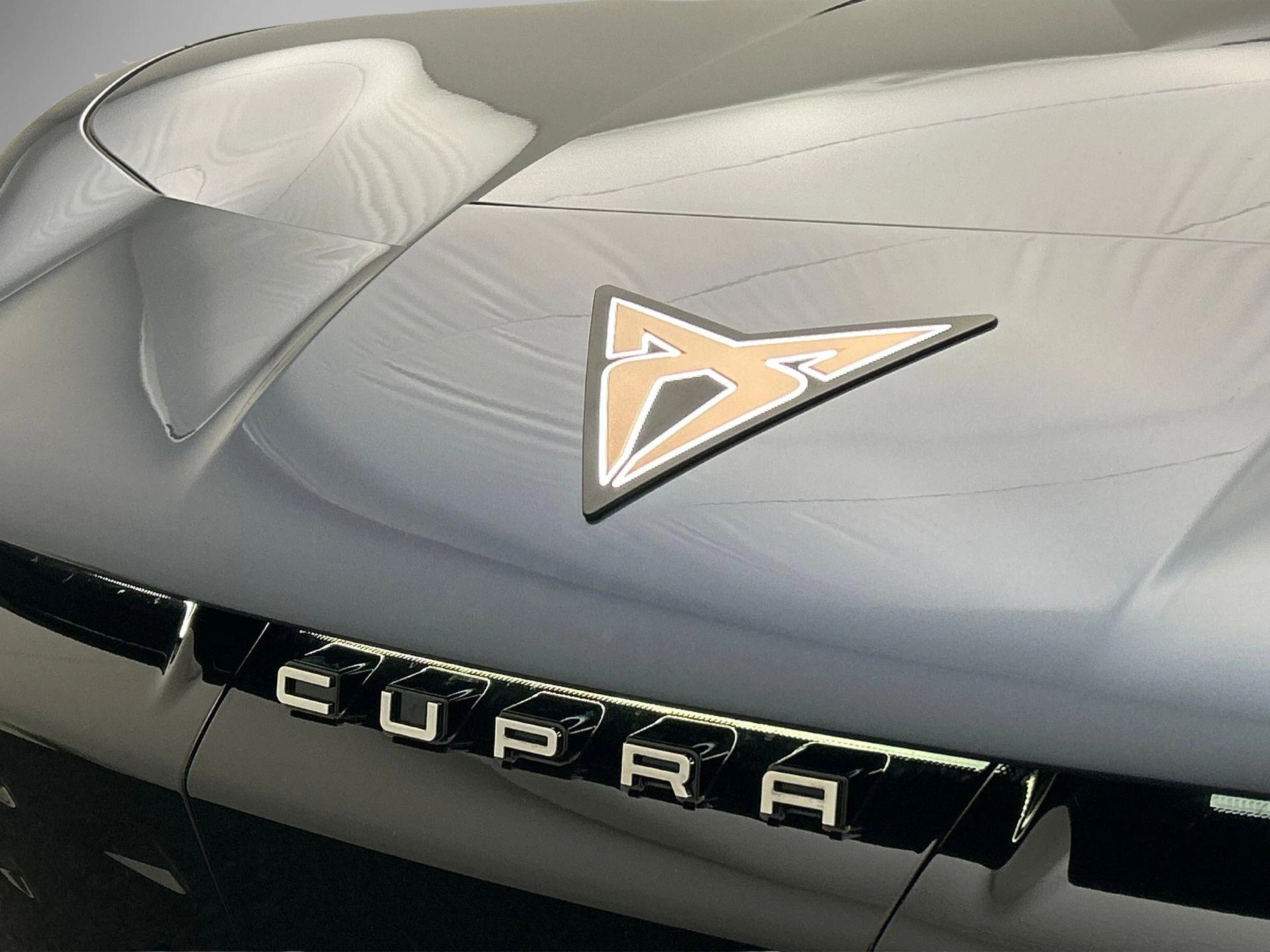 Hoofdafbeelding CUPRA Tavascan