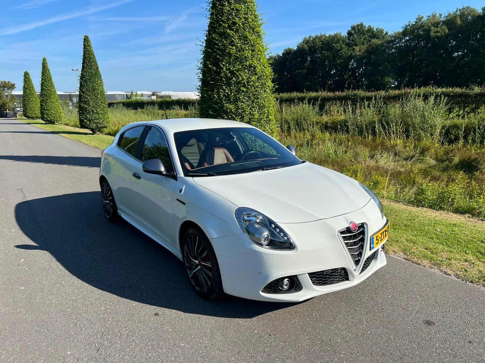 Hoofdafbeelding Alfa Romeo Giulietta