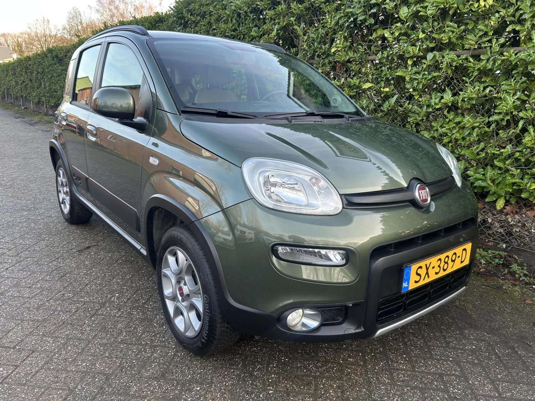 Hoofdafbeelding Fiat Panda
