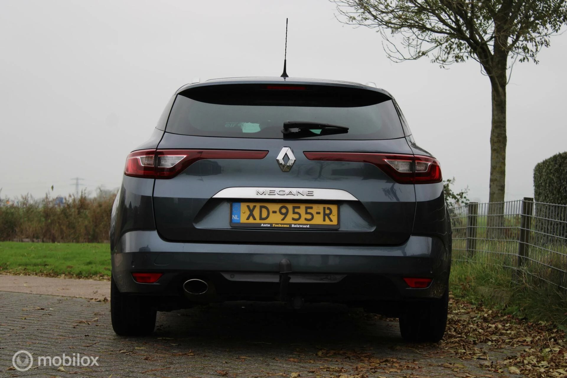 Hoofdafbeelding Renault Mégane