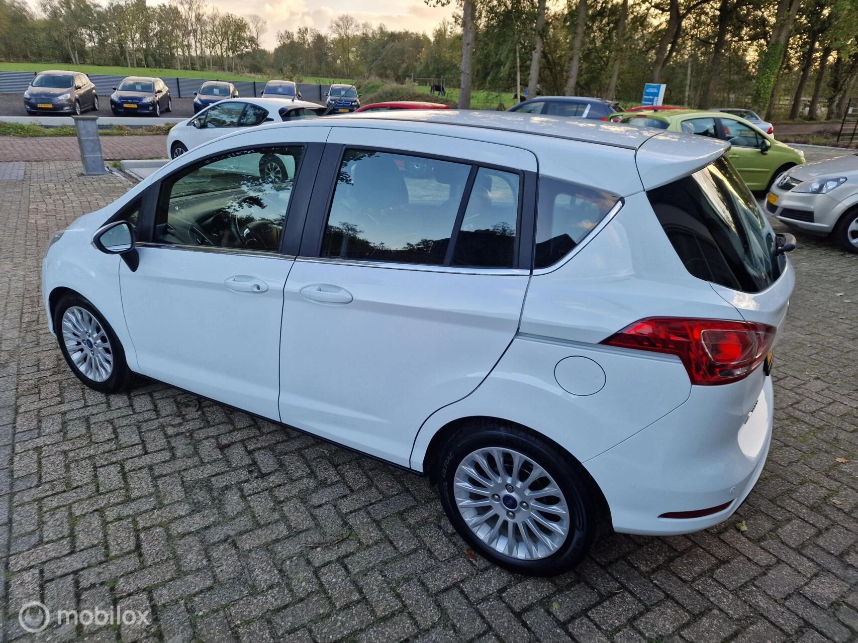 Hoofdafbeelding Ford B-MAX