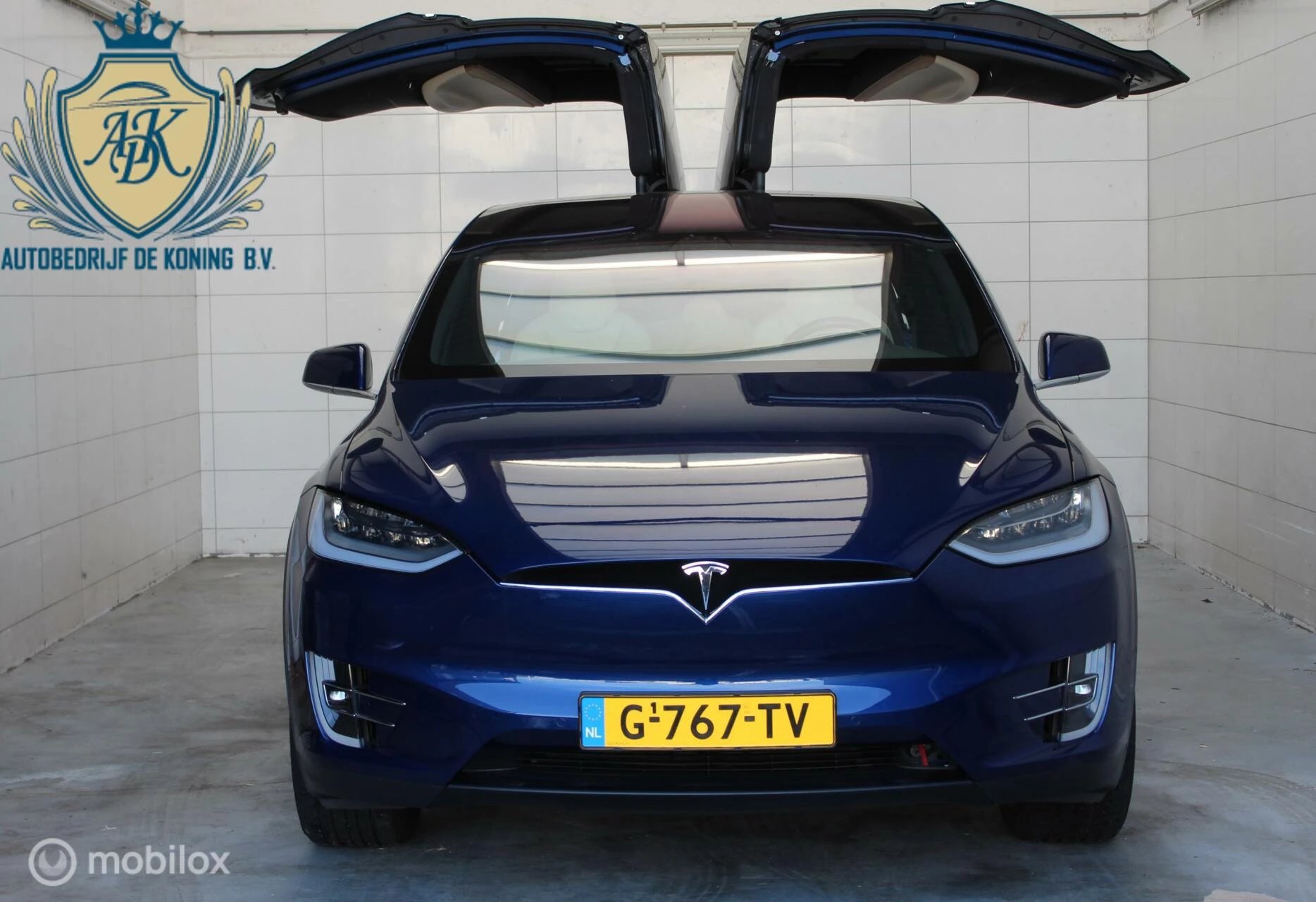 Hoofdafbeelding Tesla Model X