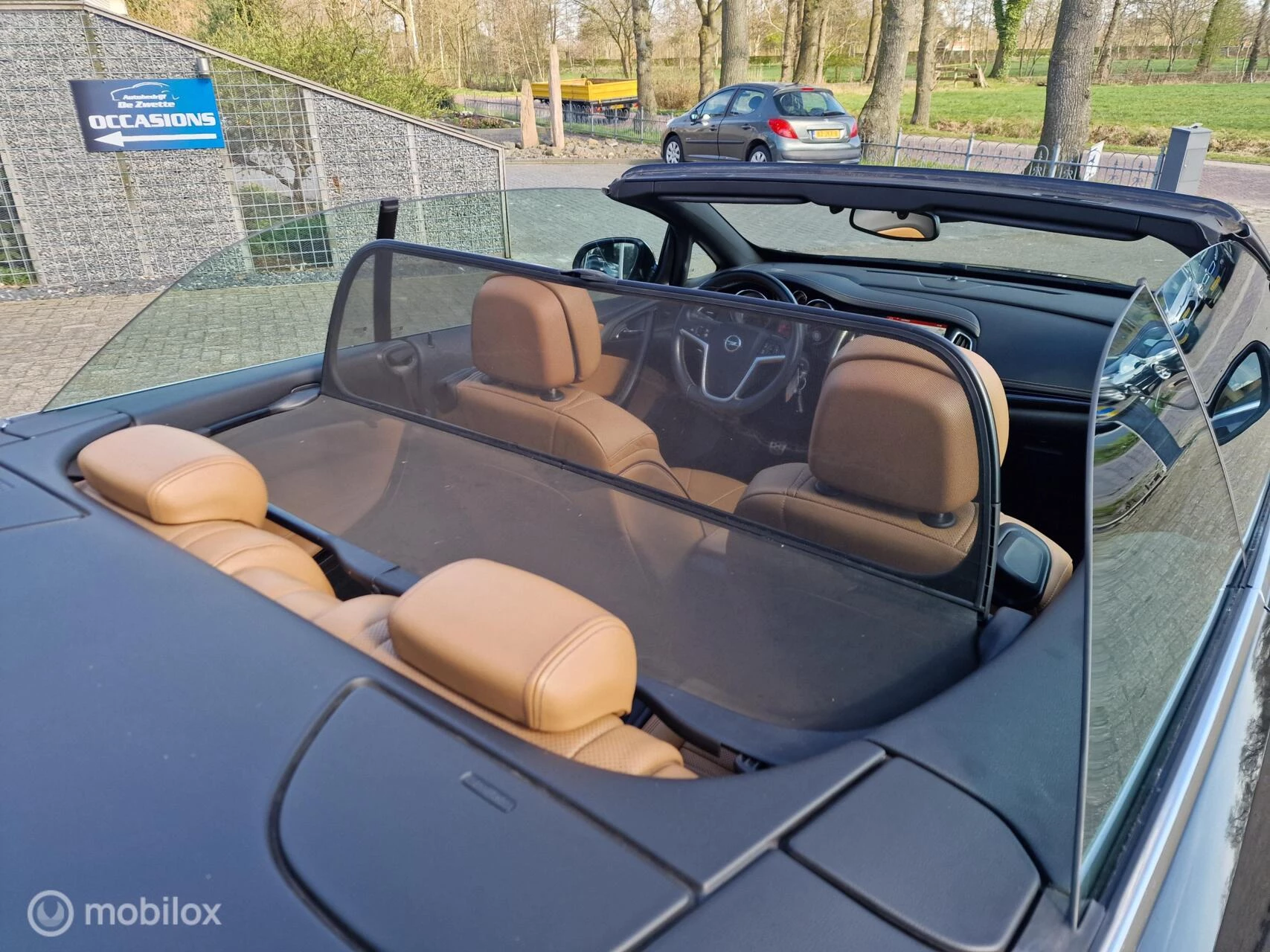 Hoofdafbeelding Opel Cascada