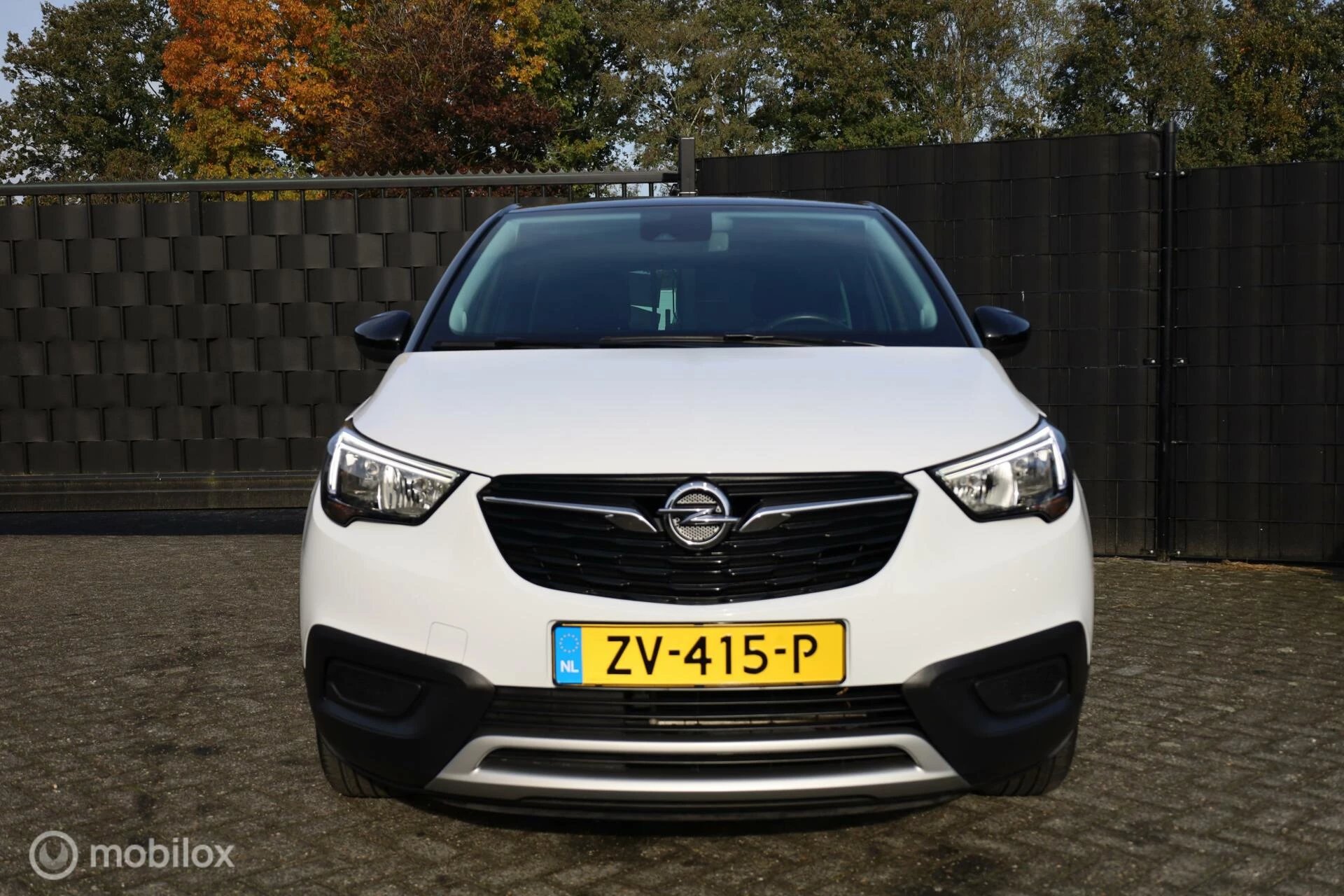 Hoofdafbeelding Opel Crossland X