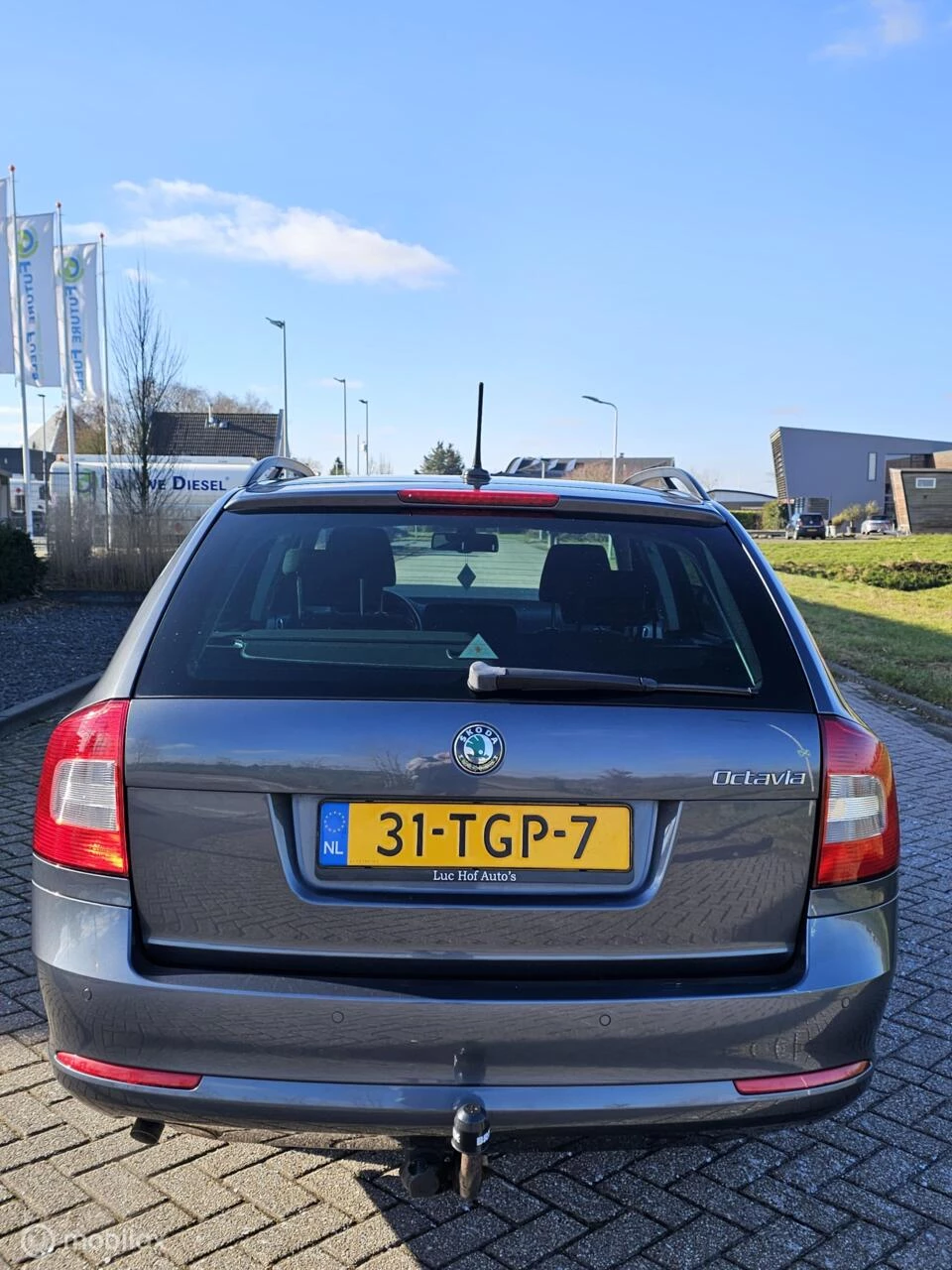 Hoofdafbeelding Škoda Octavia