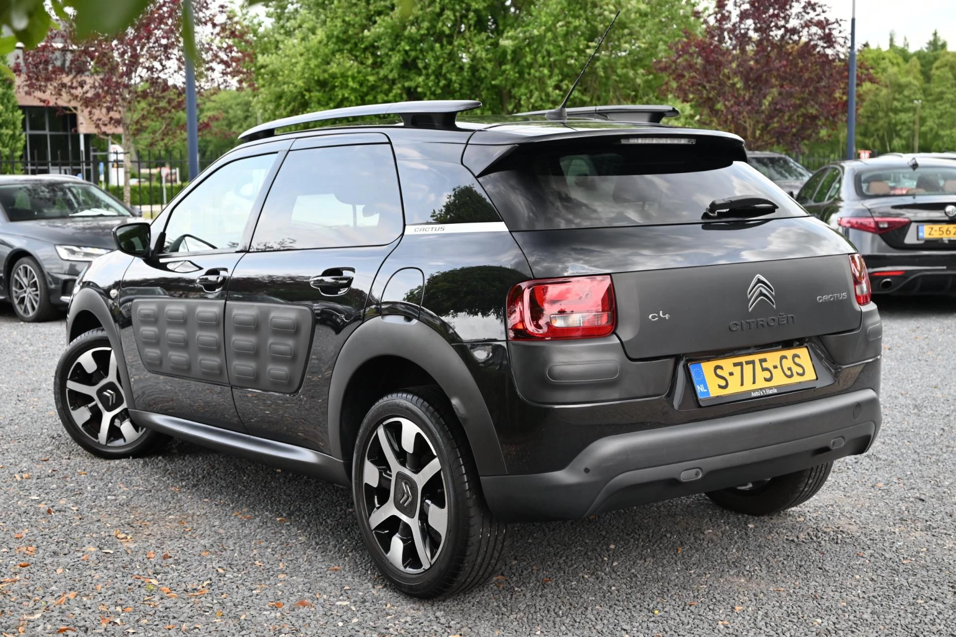 Hoofdafbeelding Citroën C4 Cactus