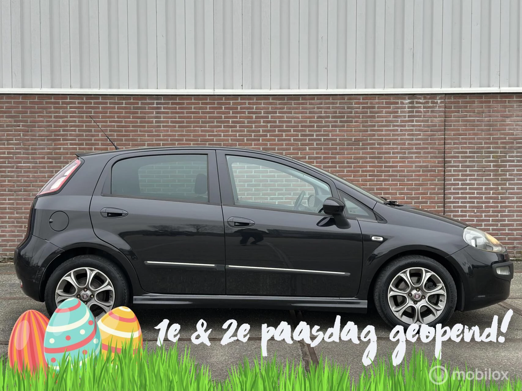 Hoofdafbeelding Fiat Punto