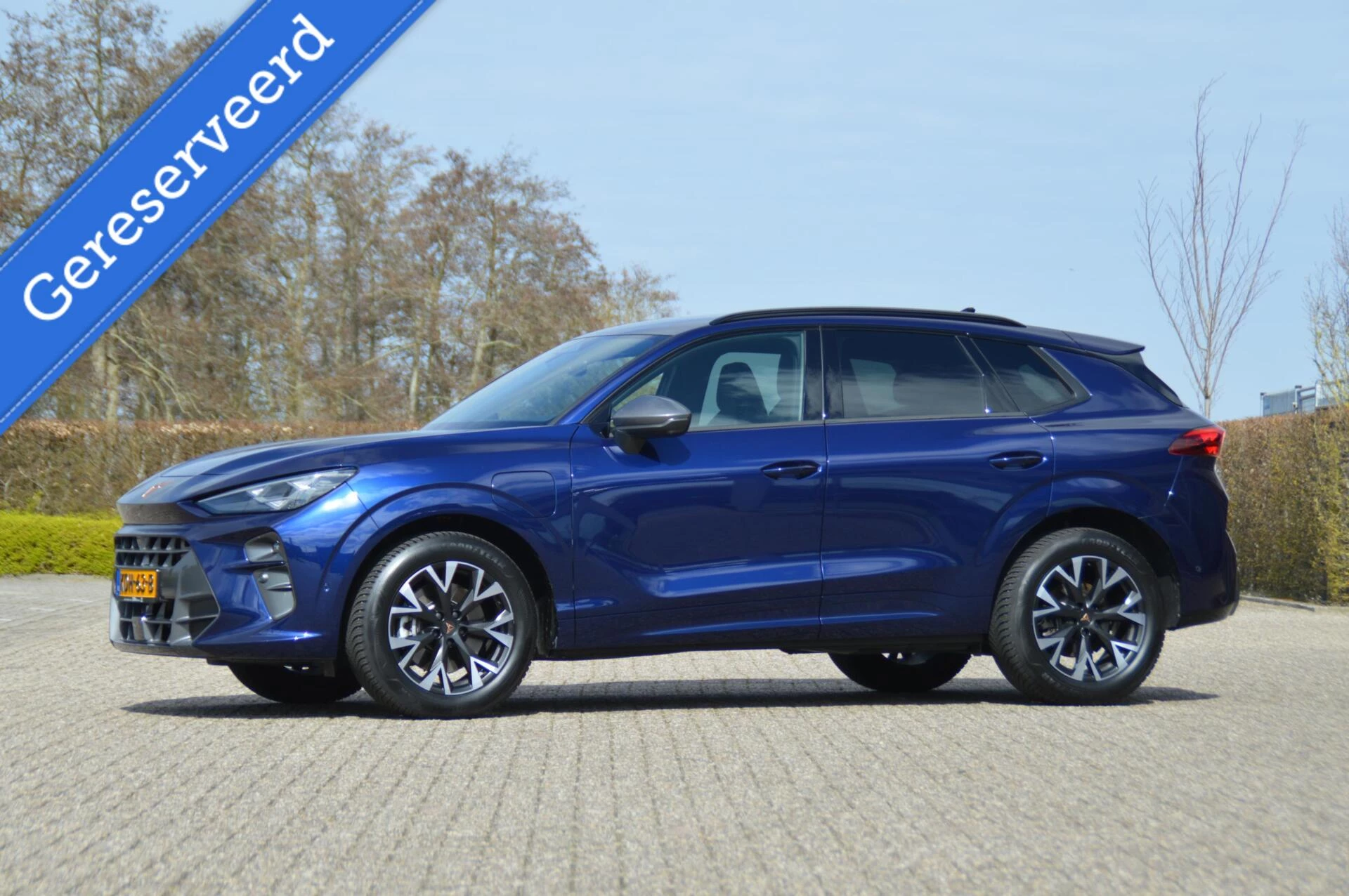 Hoofdafbeelding CUPRA Terramar