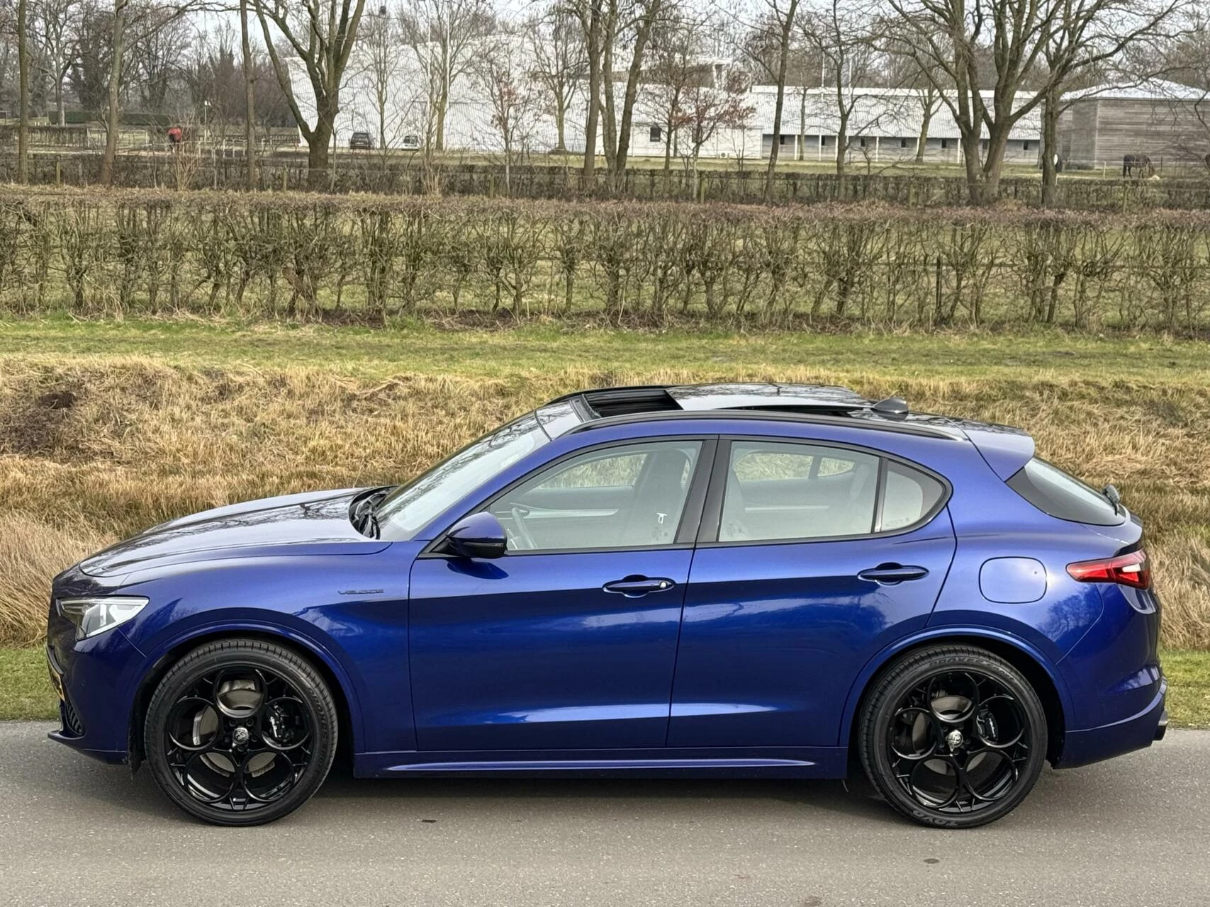 Hoofdafbeelding Alfa Romeo Stelvio