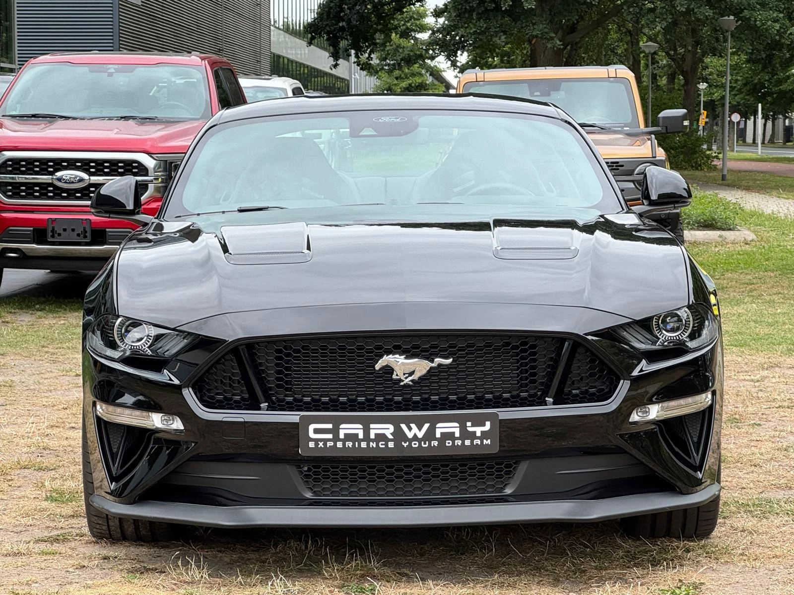 Hoofdafbeelding Ford Mustang