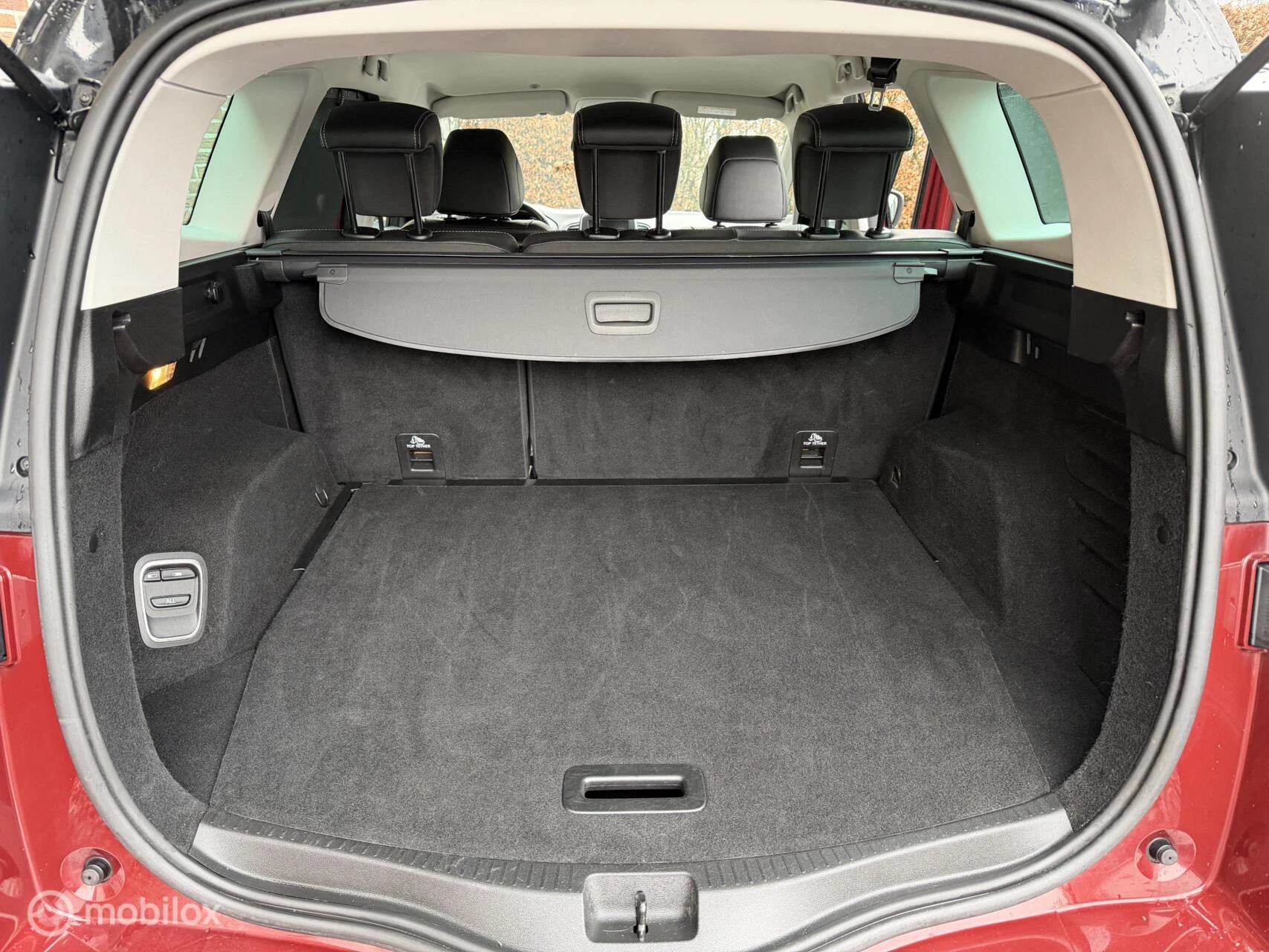 Hoofdafbeelding Renault Scénic