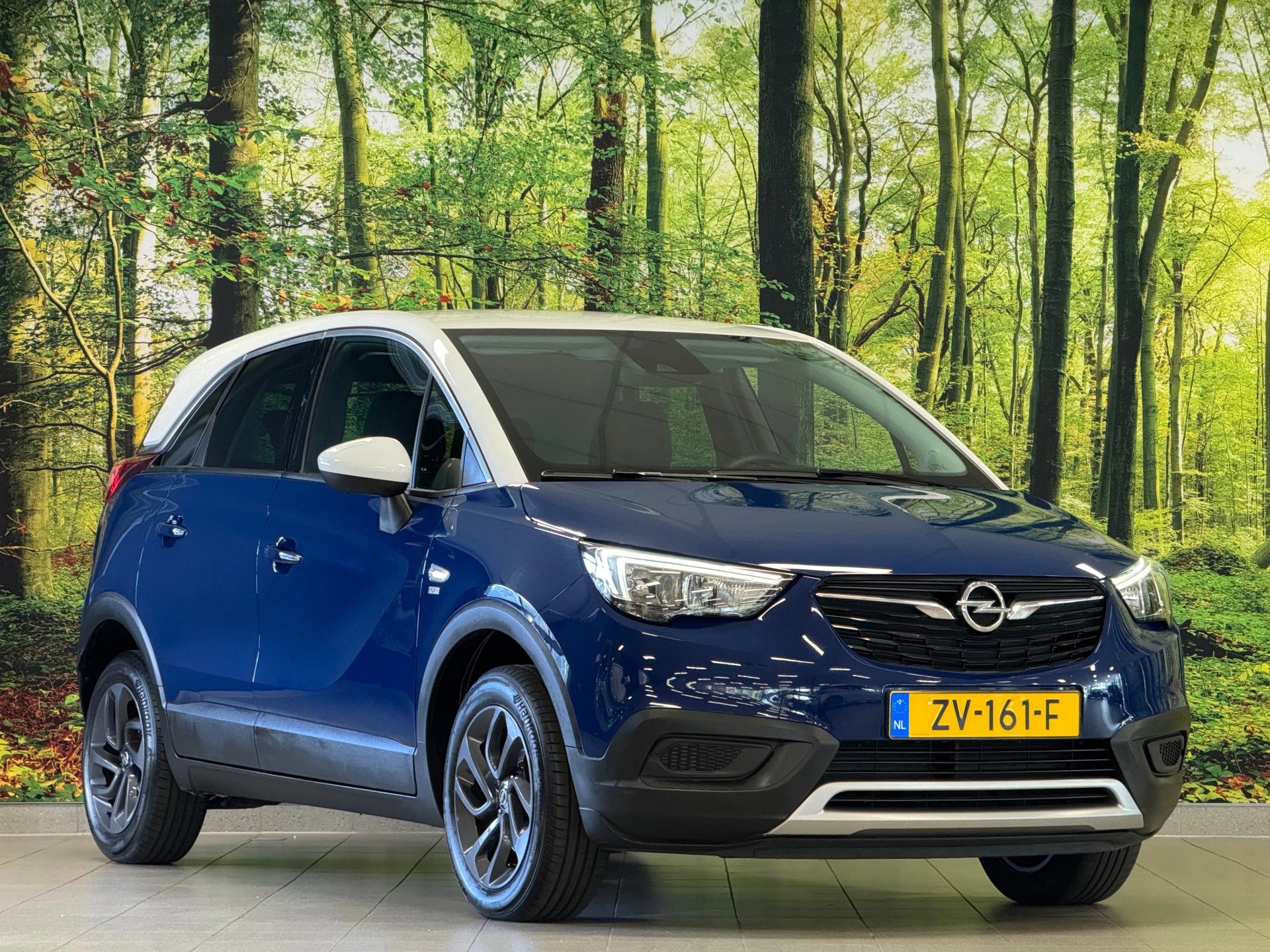 Hoofdafbeelding Opel Crossland X