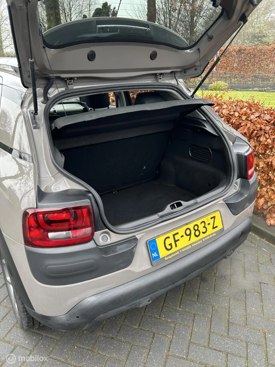 Hoofdafbeelding Citroën C4 Cactus