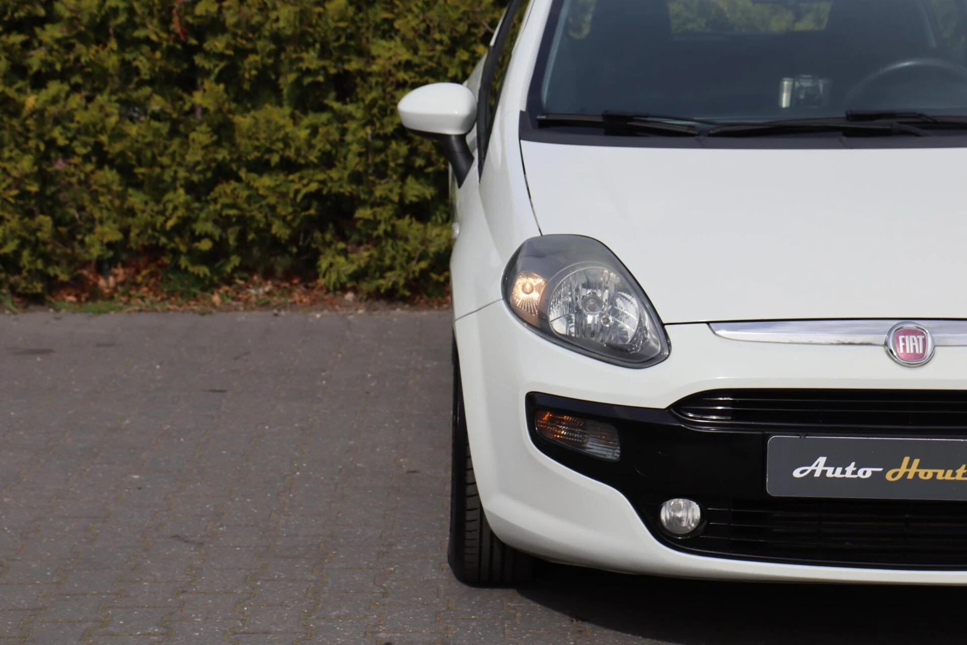 Hoofdafbeelding Fiat Punto