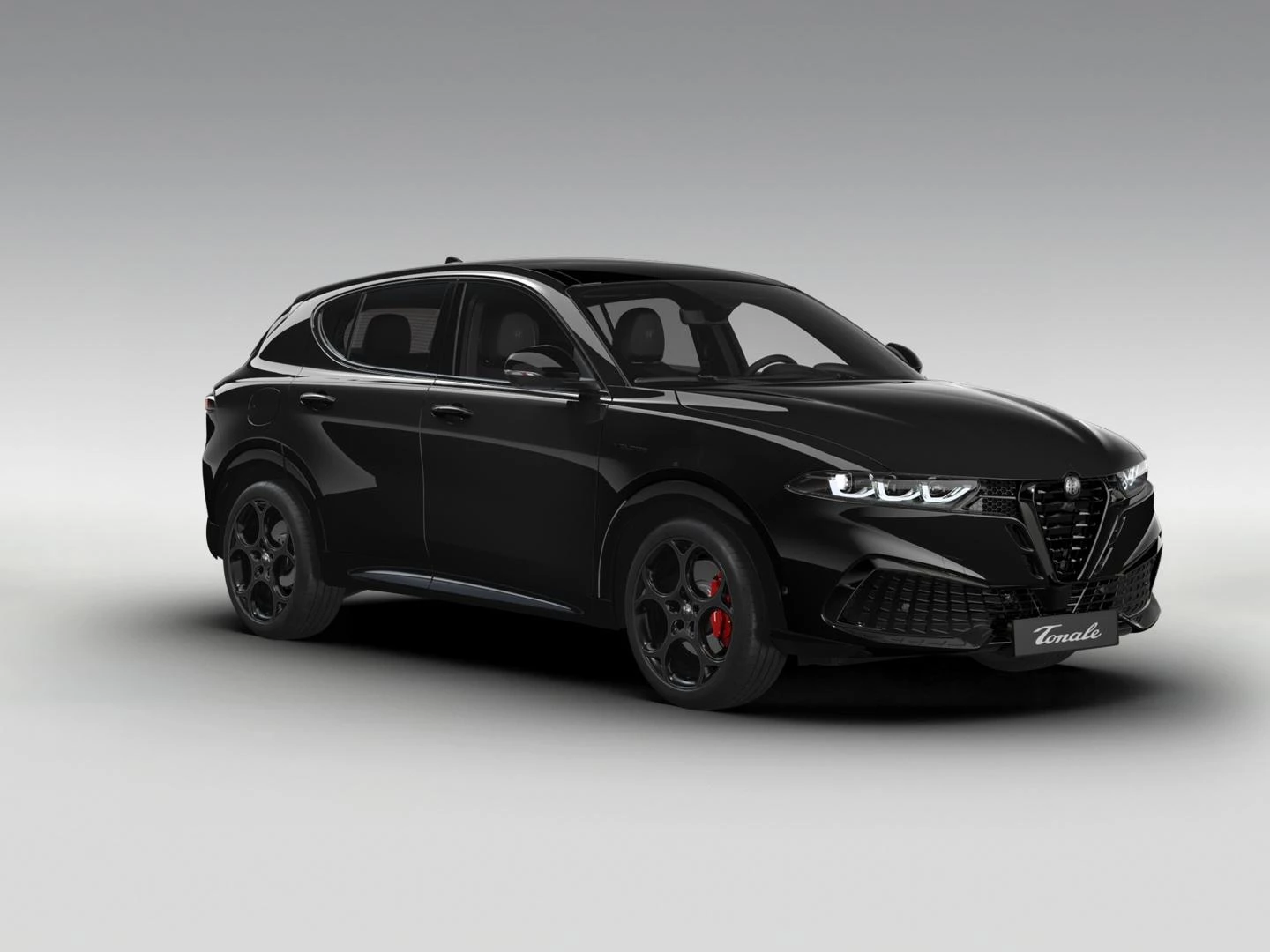 Hoofdafbeelding Alfa Romeo Tonale