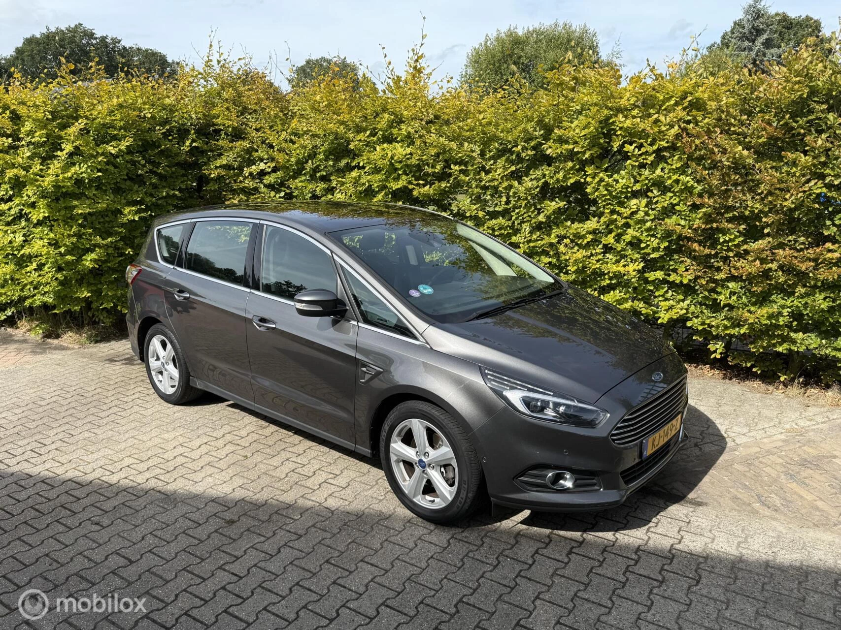 Hoofdafbeelding Ford S-Max