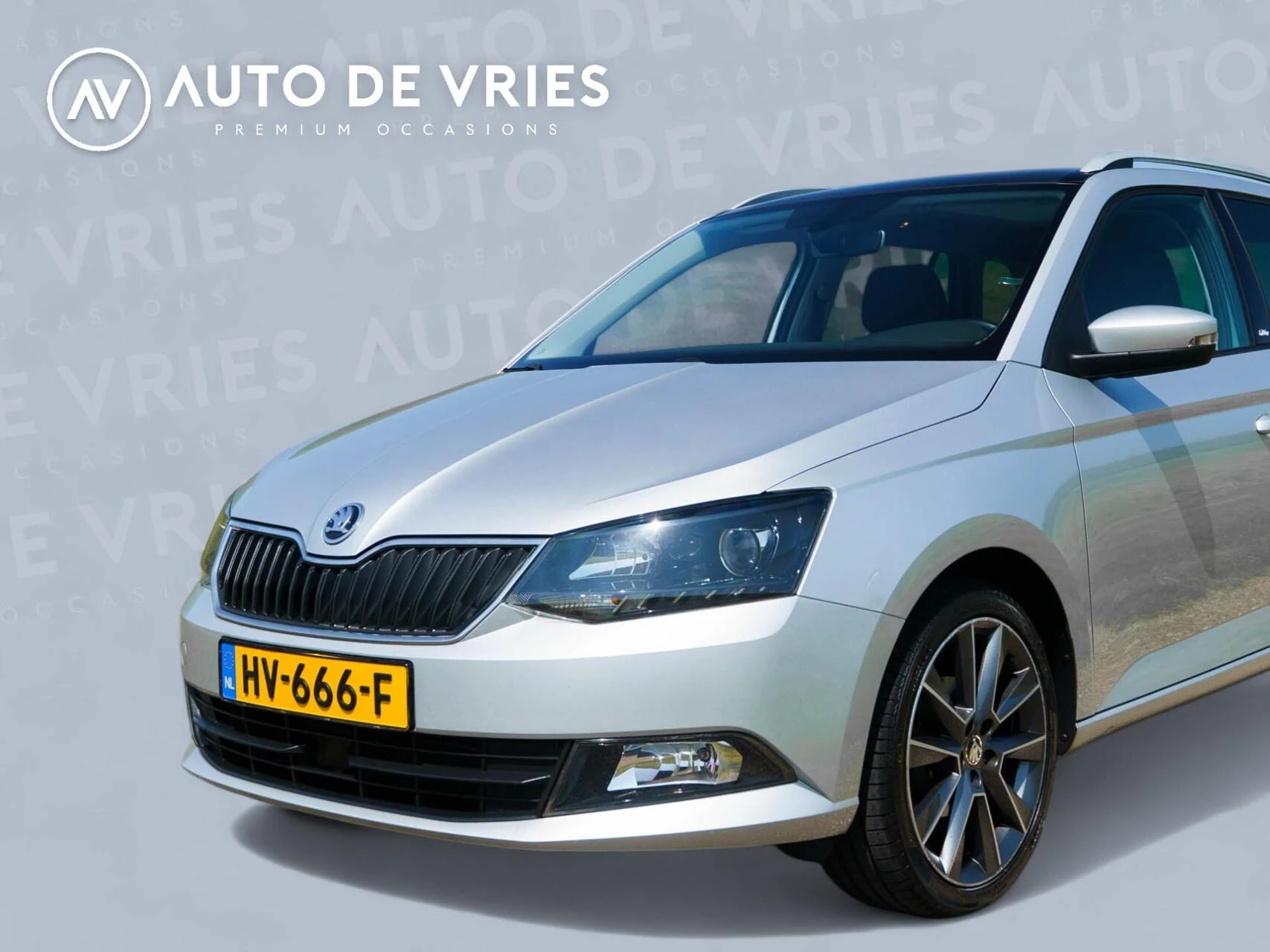 Hoofdafbeelding Škoda Fabia