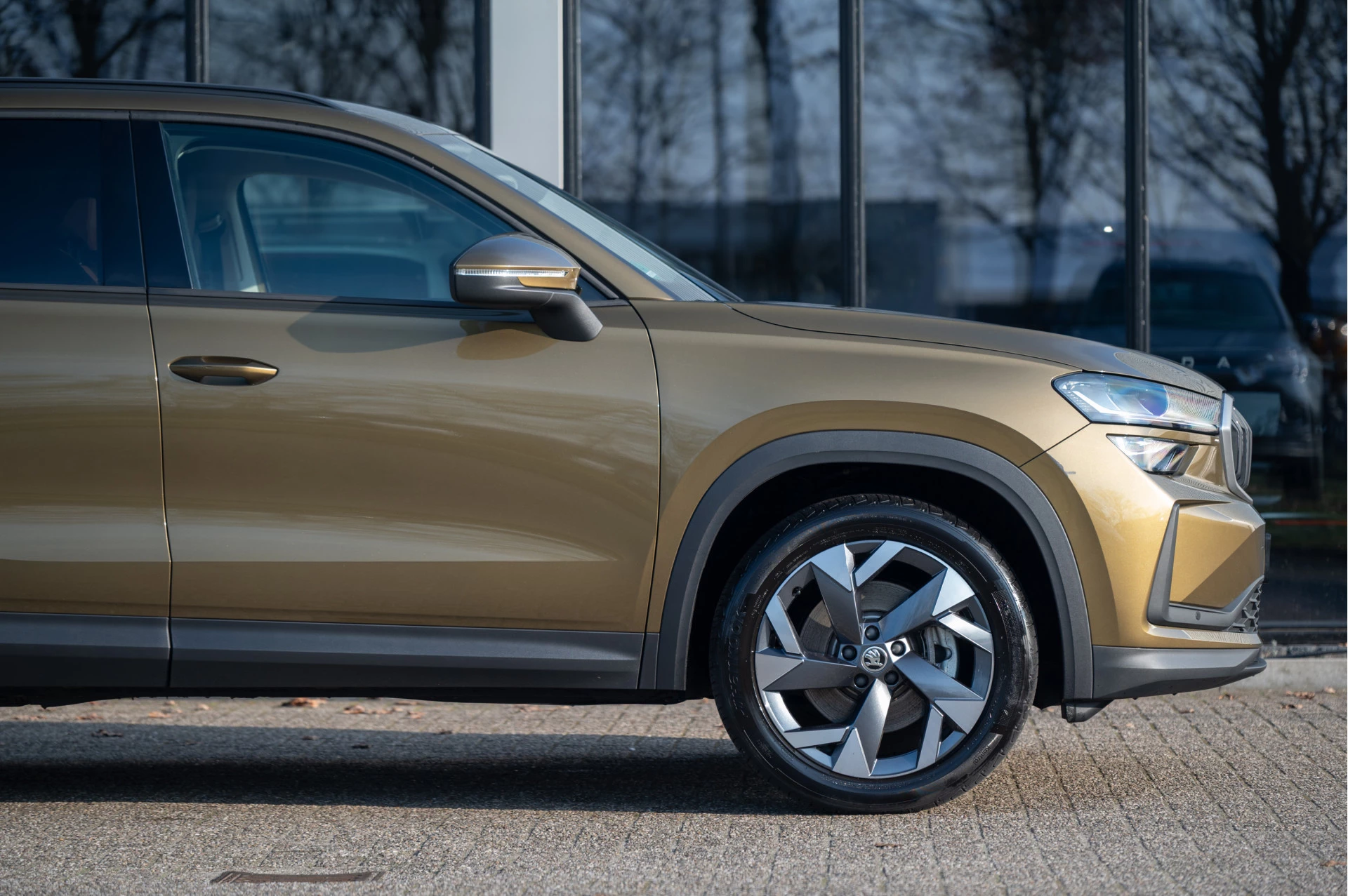 Hoofdafbeelding Škoda Kodiaq