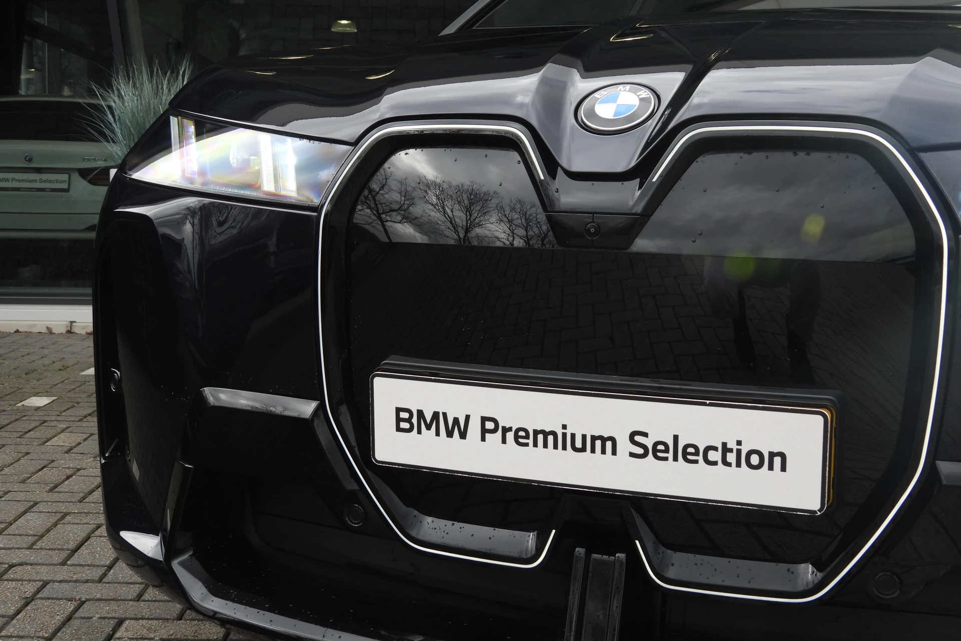 Hoofdafbeelding BMW iX