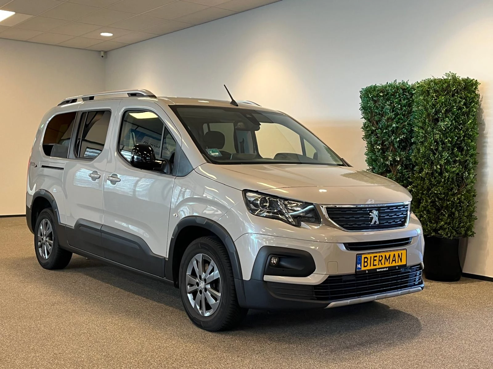 Hoofdafbeelding Peugeot Rifter